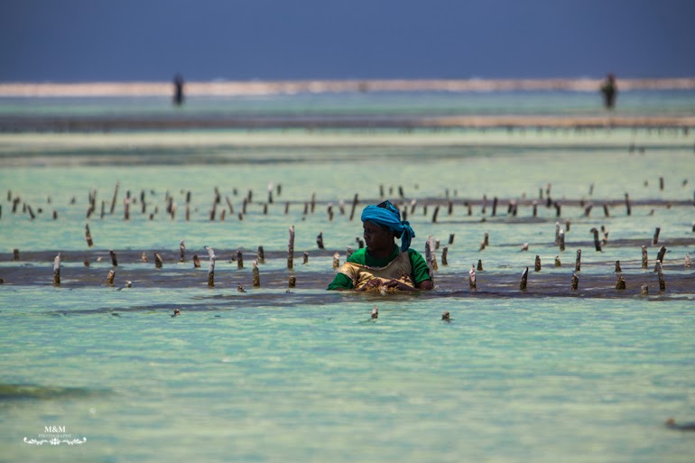 chilling on zanzibar 14