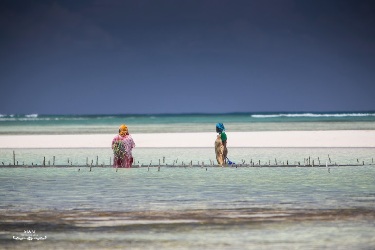 chilling on zanzibar 20