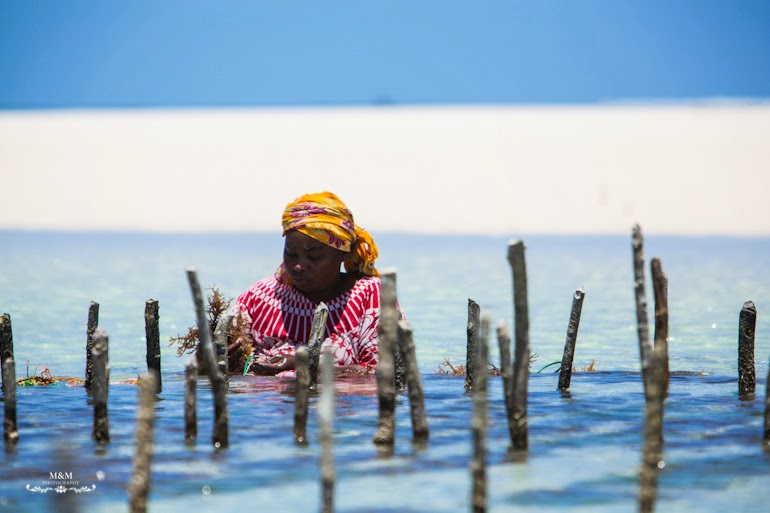 chilling on zanzibar 25