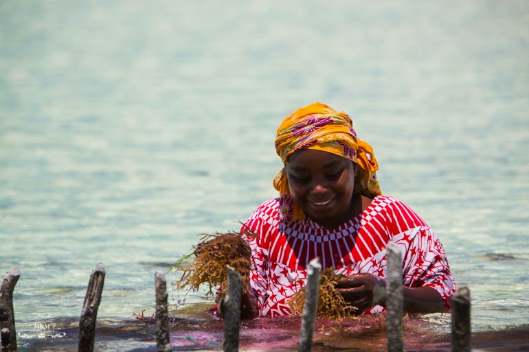 chilling on zanzibar 26