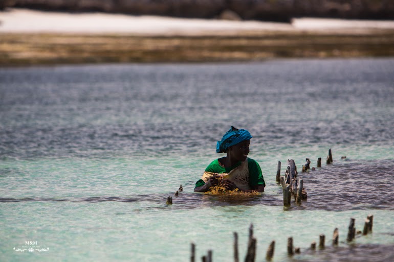 chilling on zanzibar 27