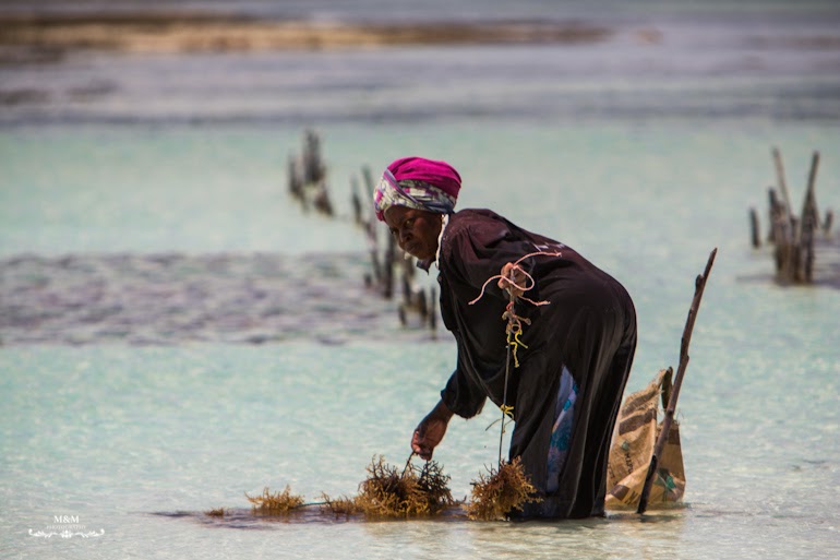 chilling on zanzibar 28