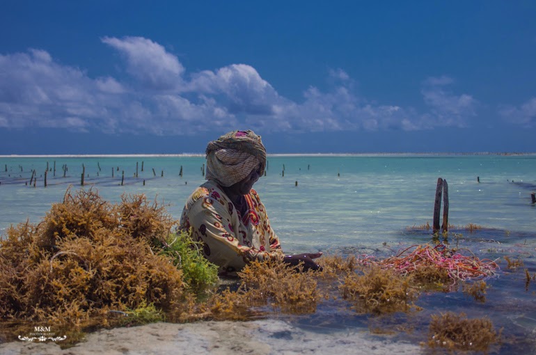 chilling on zanzibar 29