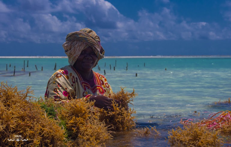 chilling on zanzibar 30