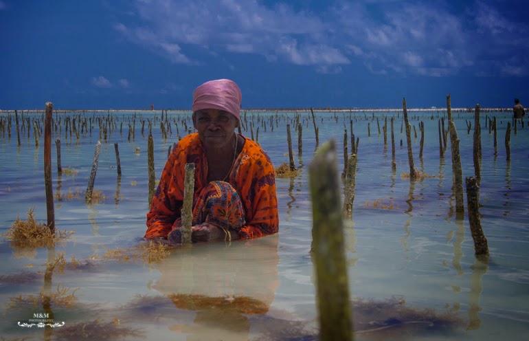 chilling on zanzibar 31