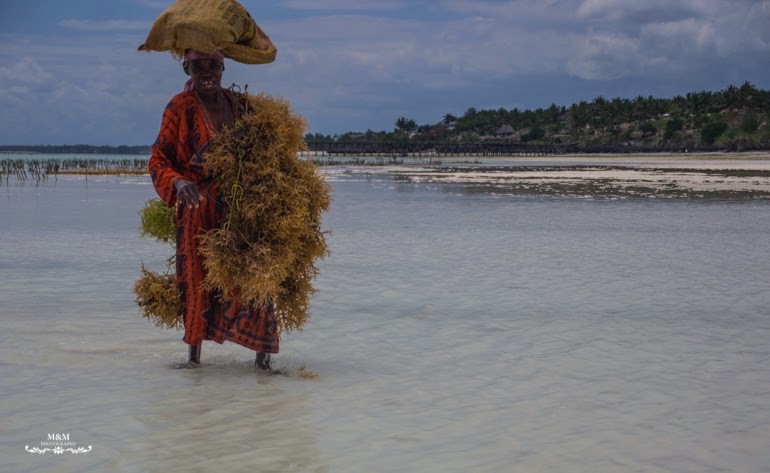 chilling on zanzibar 32