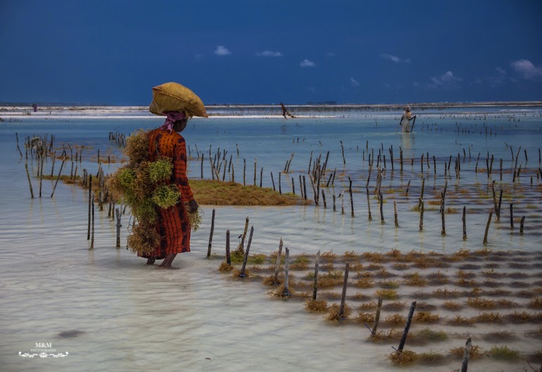 chilling on zanzibar 33