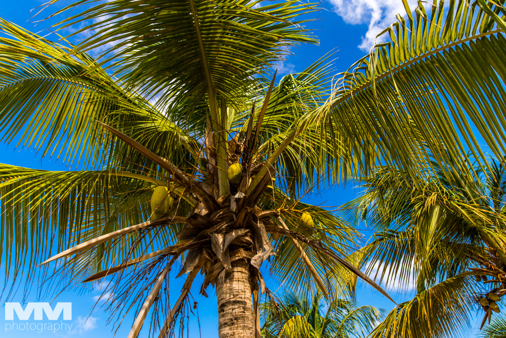 curacao plaza blue bay 01