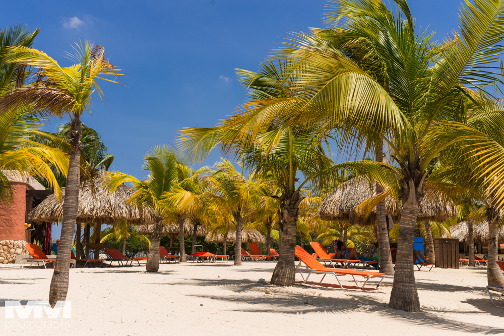 curacao plaza blue bay 15