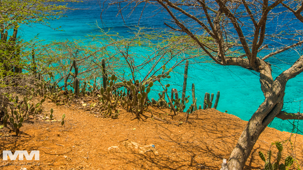 curacao plaza daaibooibaai 01