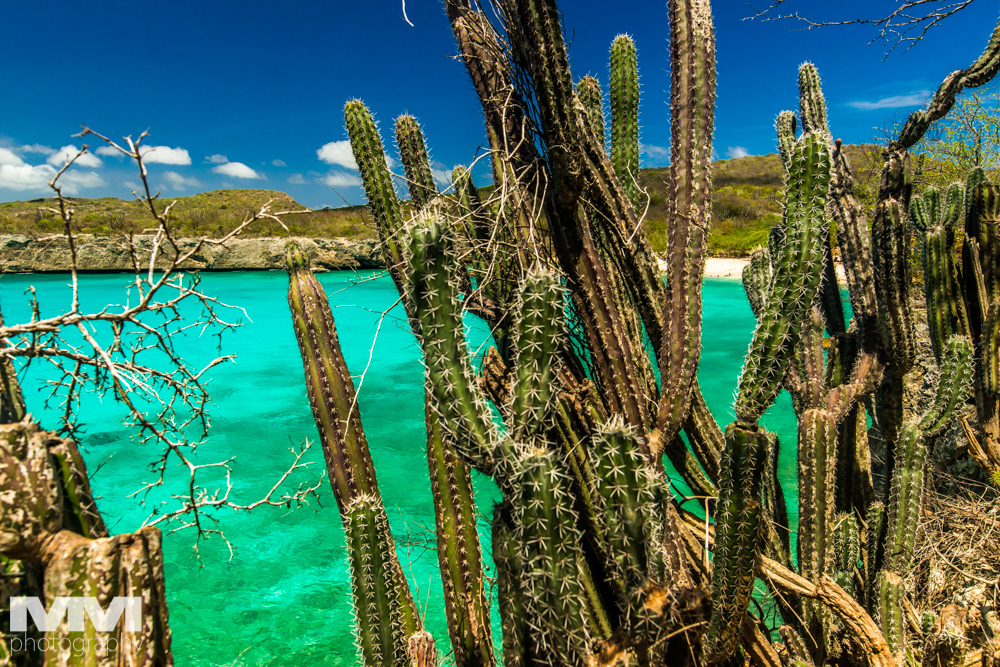 curacao plaza daaibooibaai 08