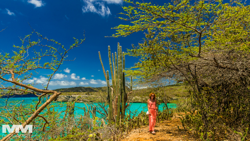 curacao plaza daaibooibaai 15