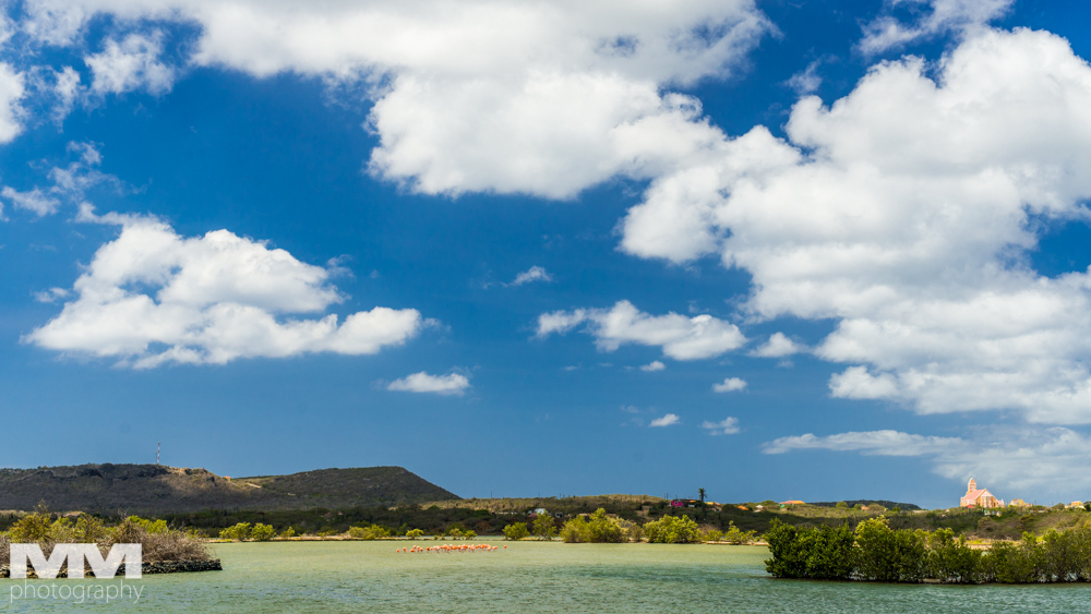 curacao plaza daaibooibaai 16