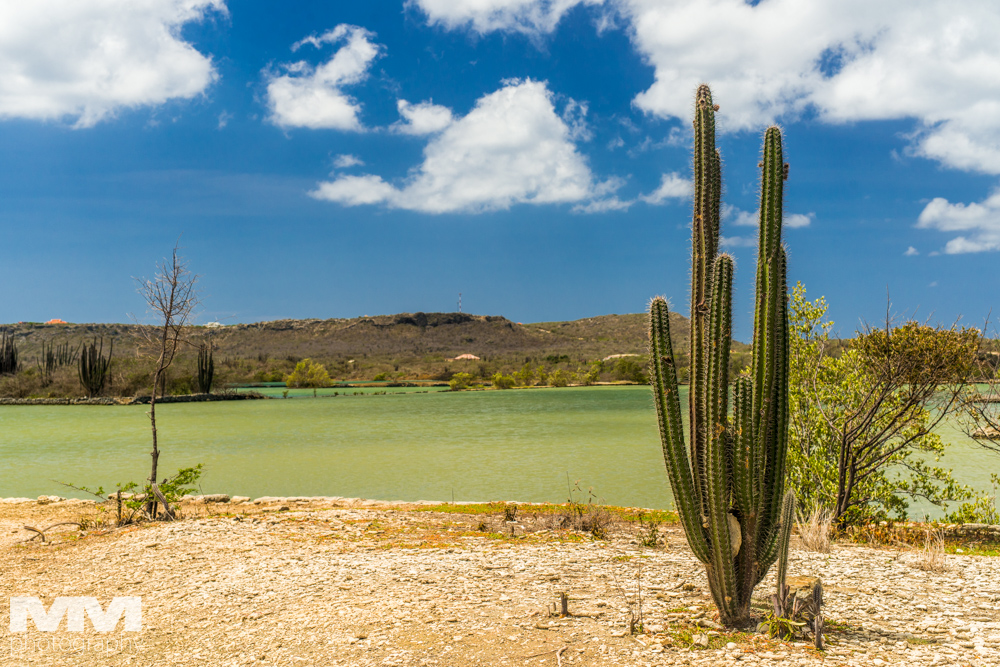 curacao plaza daaibooibaai 17