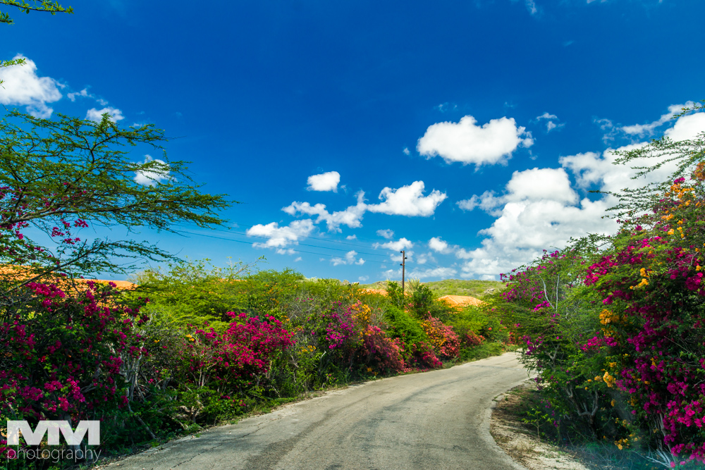 curacao plaza santa martha 04