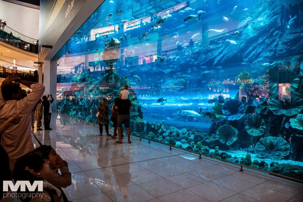 dubai mall 22