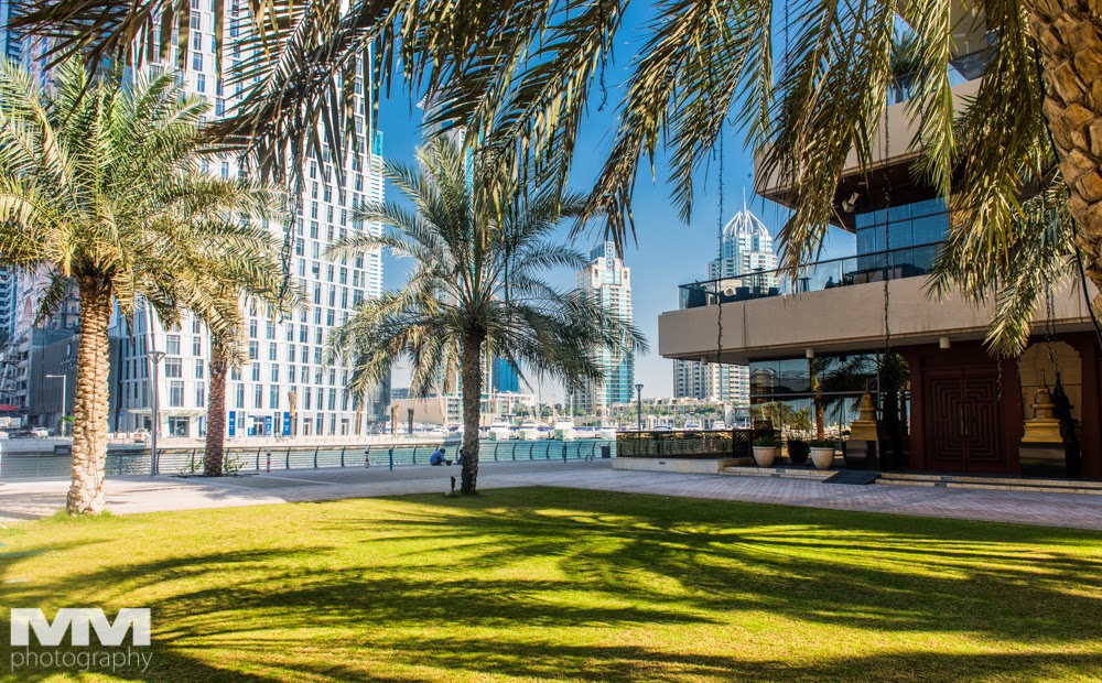 dubai marina 12