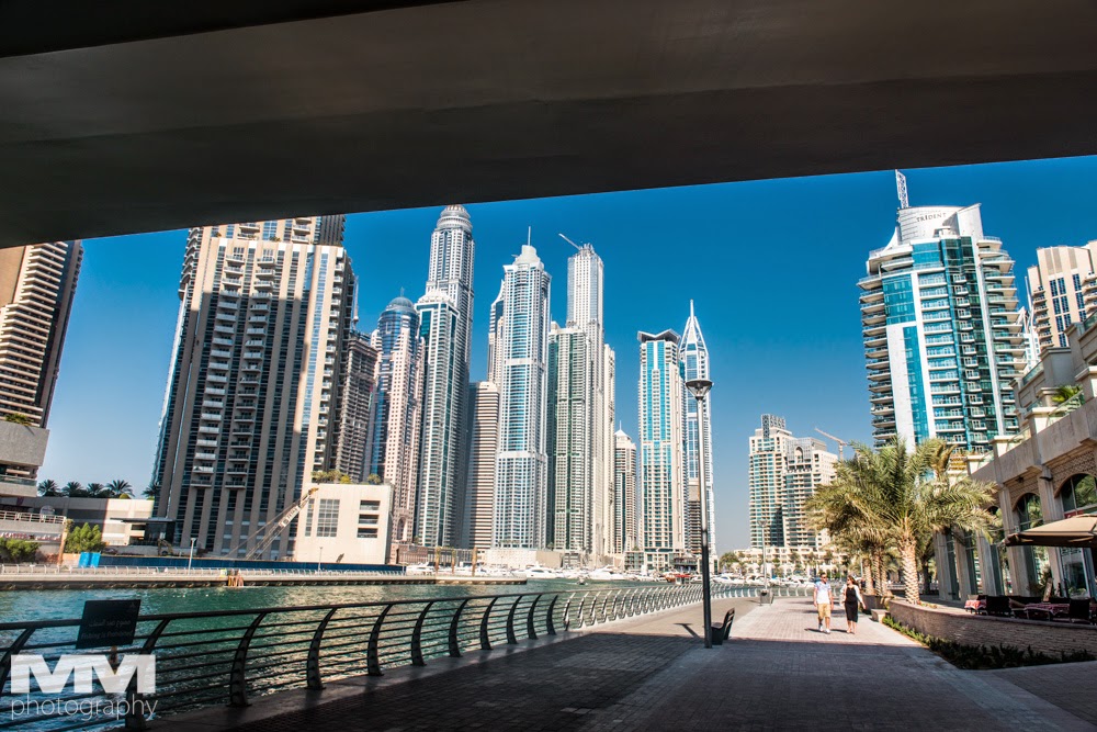 dubai marina 14