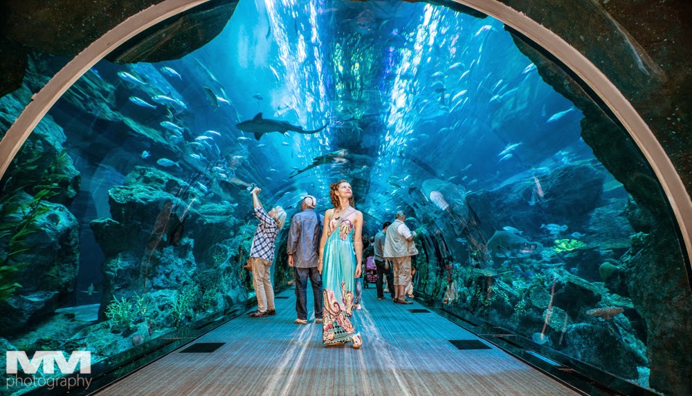 dubaj plan podrozy 04