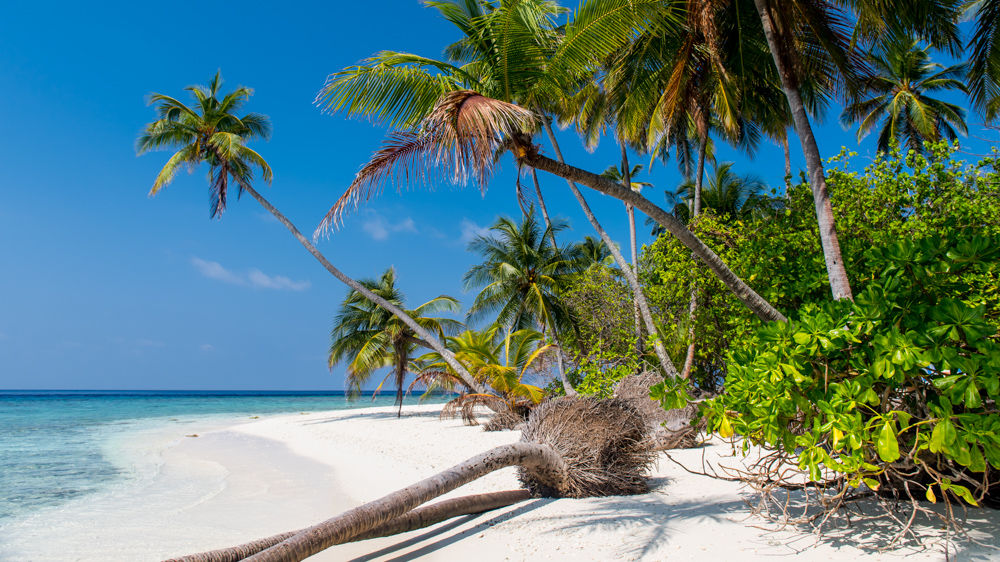 Nilandhoo – wizyta w Filitheyo-18