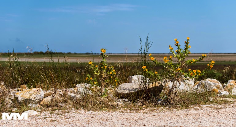 francja elegancja w arles 45