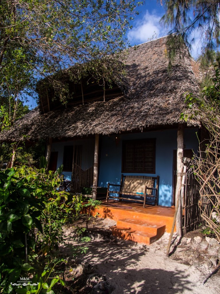 hakuna matata na plazach zanzibaru 01