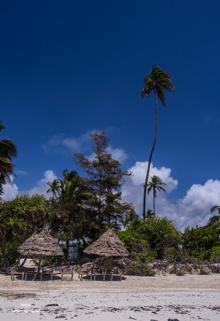 hakuna matata na plazach zanzibaru 03