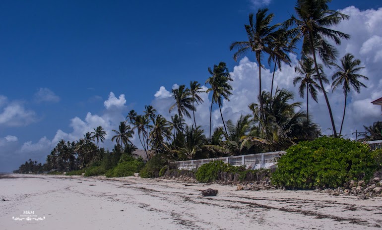 hakuna matata na plazach zanzibaru 04