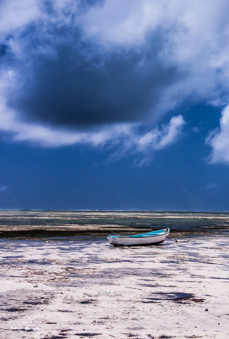 hakuna matata na plazach zanzibaru 05