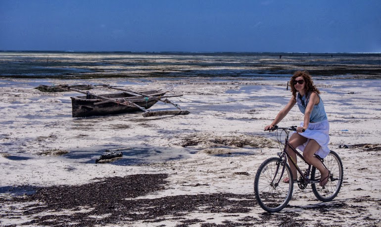 hakuna matata na plazach zanzibaru 06