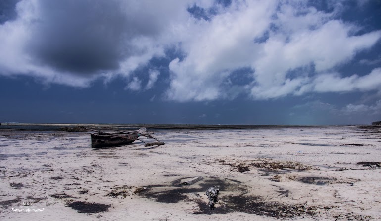 hakuna matata na plazach zanzibaru 08