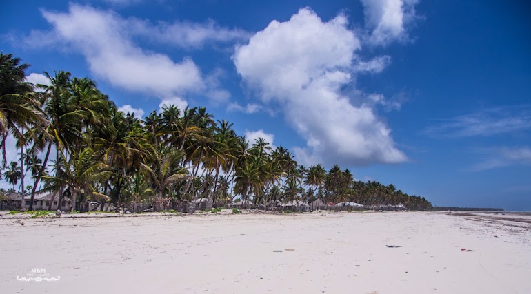 hakuna matata na plazach zanzibaru 09