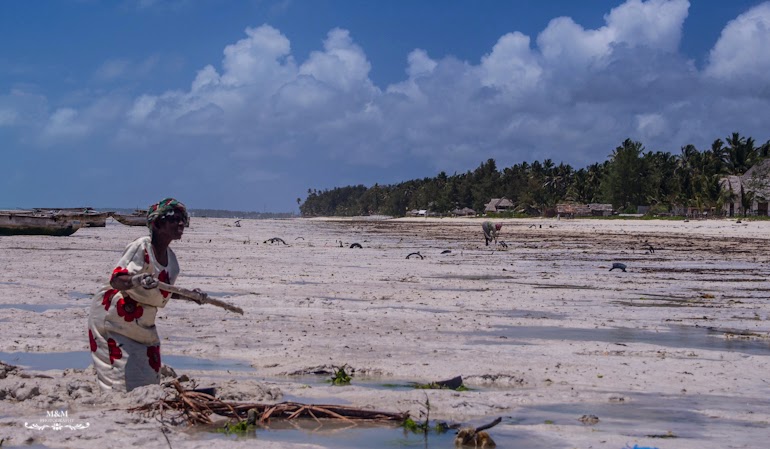 hakuna matata na plazach zanzibaru 10