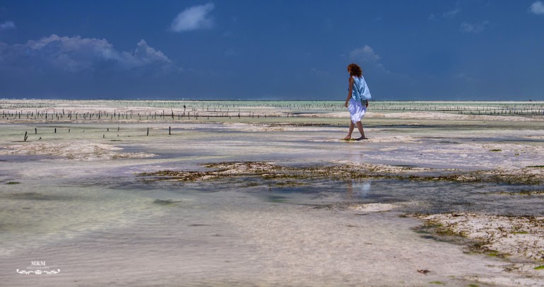 hakuna matata na plazach zanzibaru 13