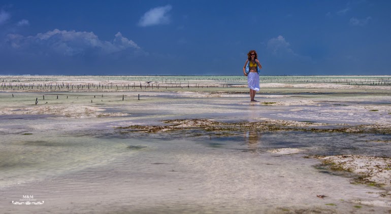 hakuna matata na plazach zanzibaru 14