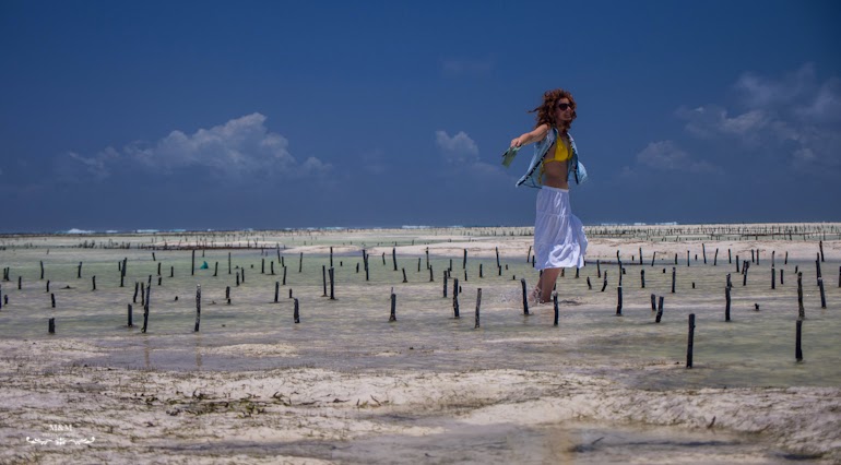 hakuna matata na plazach zanzibaru 17