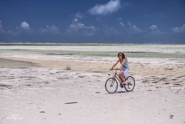 hakuna matata na plazach zanzibaru 27
