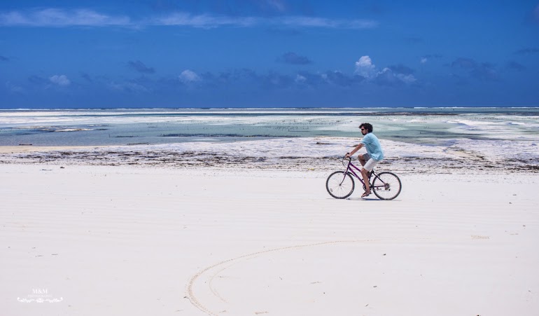 hakuna matata na plazach zanzibaru 28