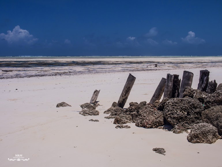 hakuna matata na plazach zanzibaru 29