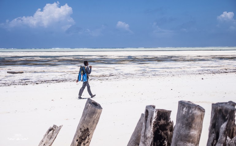 hakuna matata na plazach zanzibaru 30