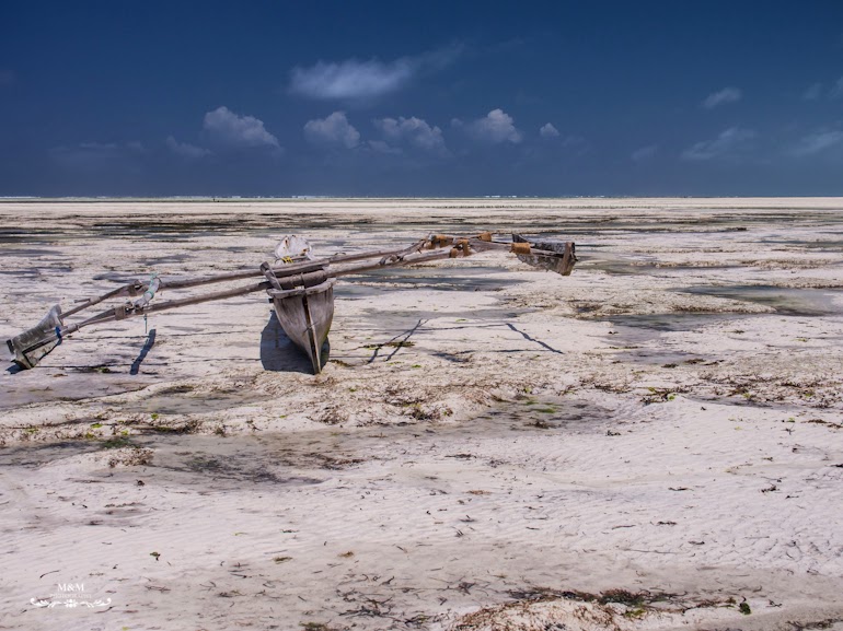hakuna matata na plazach zanzibaru 31