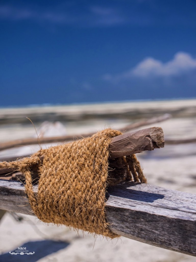 hakuna matata na plazach zanzibaru 33