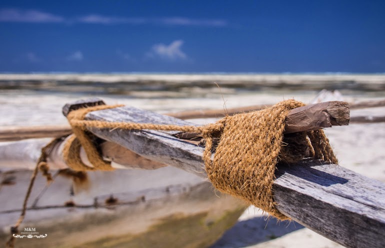 hakuna matata na plazach zanzibaru 34