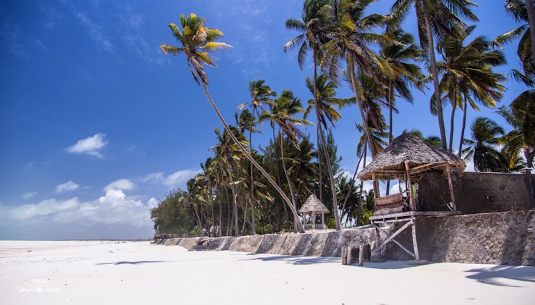 hakuna matata na plazach zanzibaru 35