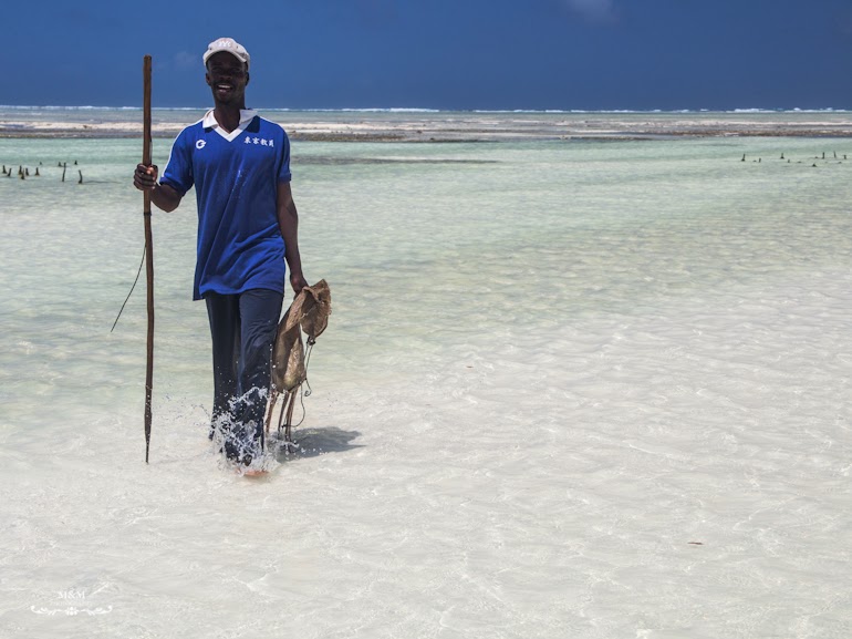 hakuna matata na plazach zanzibaru 36