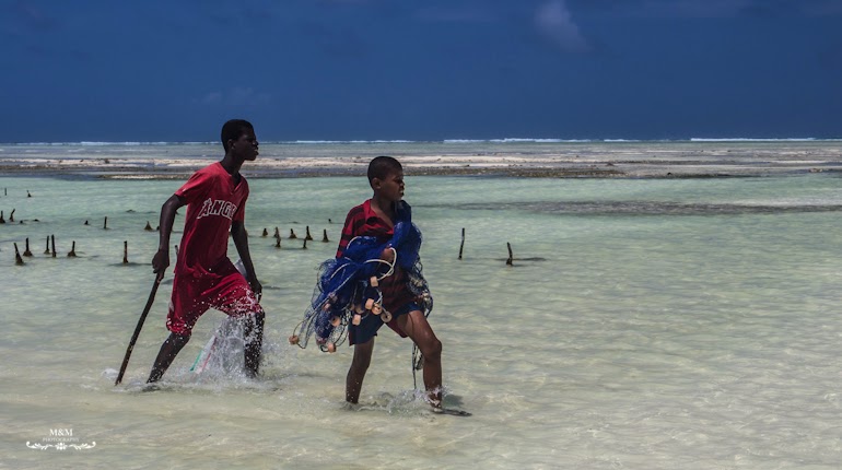 hakuna matata na plazach zanzibaru 38