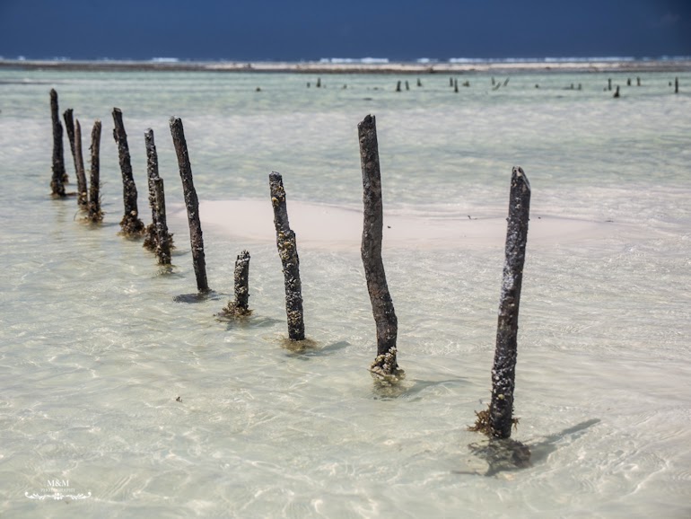 hakuna matata na plazach zanzibaru 39