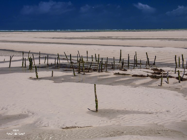 hakuna matata na plazach zanzibaru 40