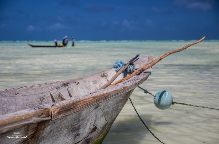 hakuna matata na plazach zanzibaru 42