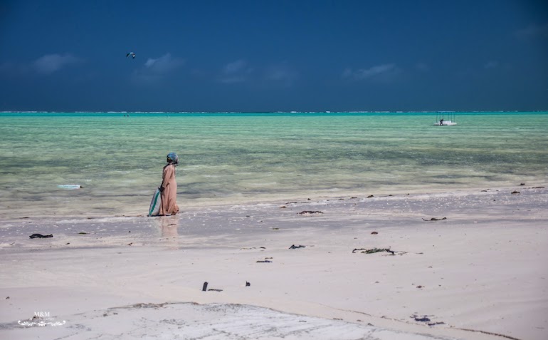 hakuna matata na plazach zanzibaru 44